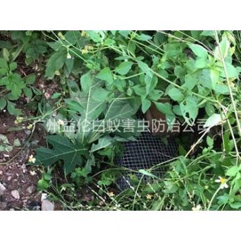 从化上门驱蛇防蛇